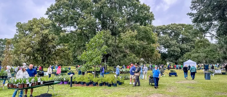 Fall Plant Sale