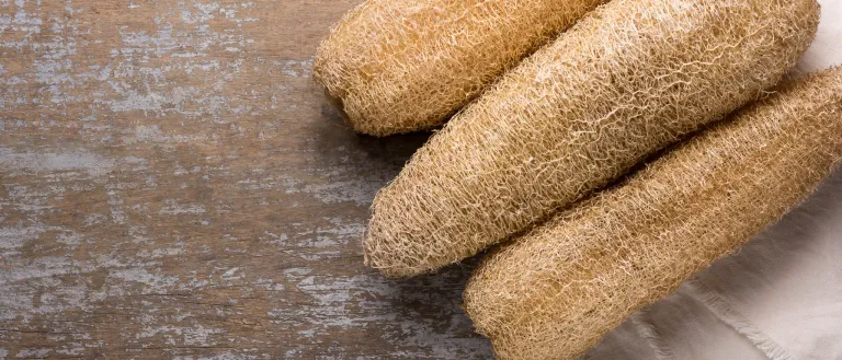 Luffa sponges