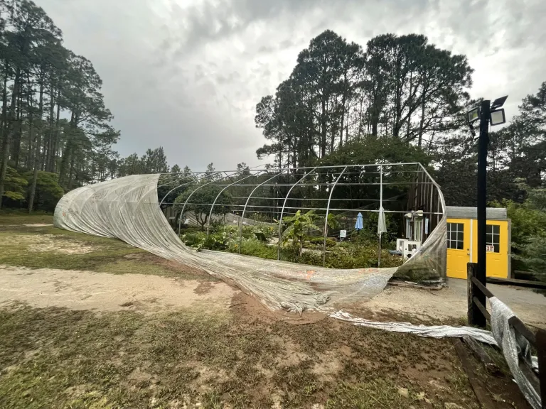 Butterfly House destroyed at Brookgreen