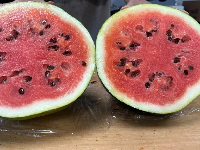 Citrullus lanatus 'Moon and Stars' fruit