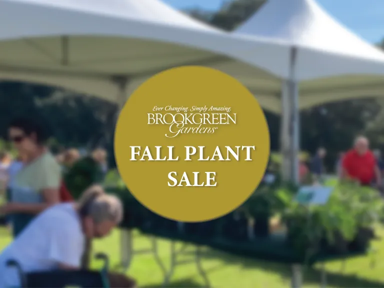 Fall Plant Sale