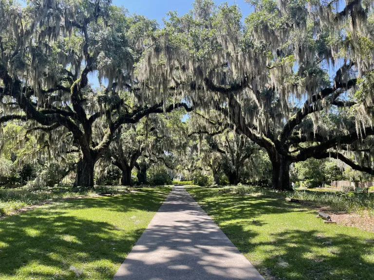 Botanical Gardens Brookgreen