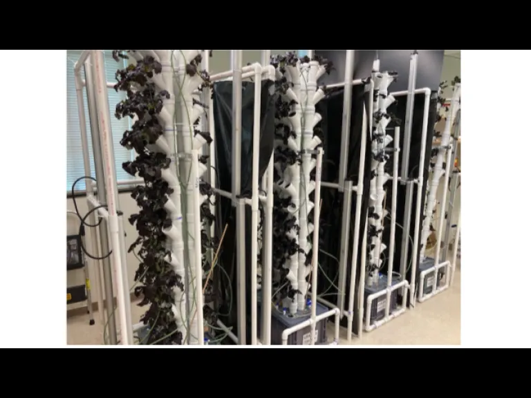 Aeroponics