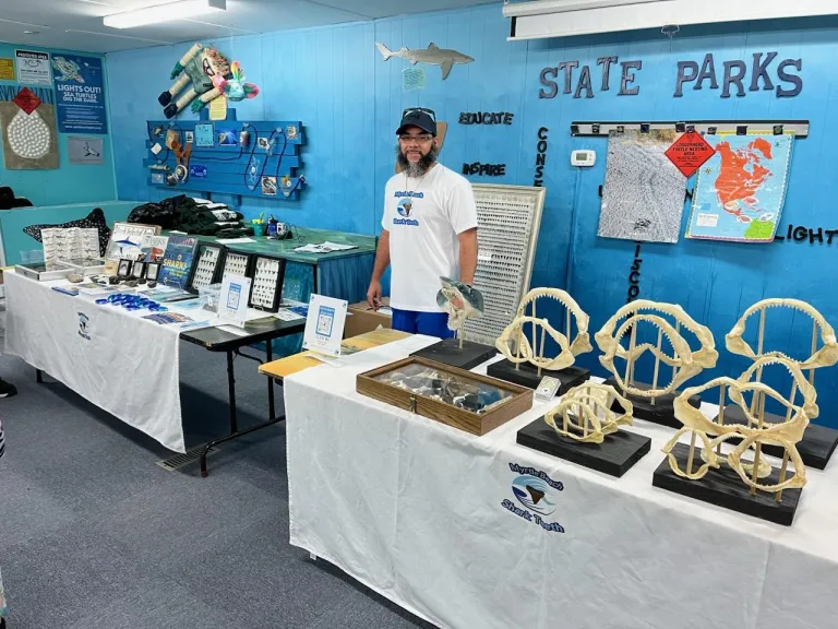 Charles Shelton Jr _ Fossils and Sharks teeth display