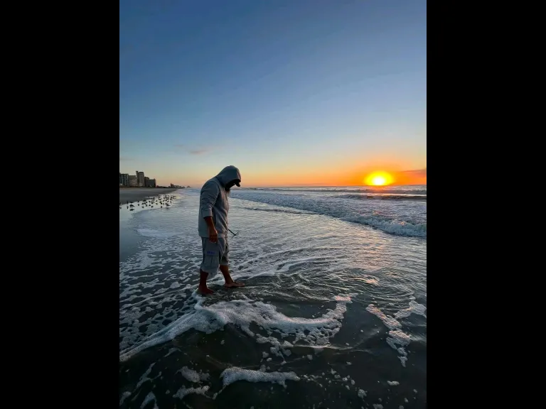 Charles Shelton Jr _ Beachcombing