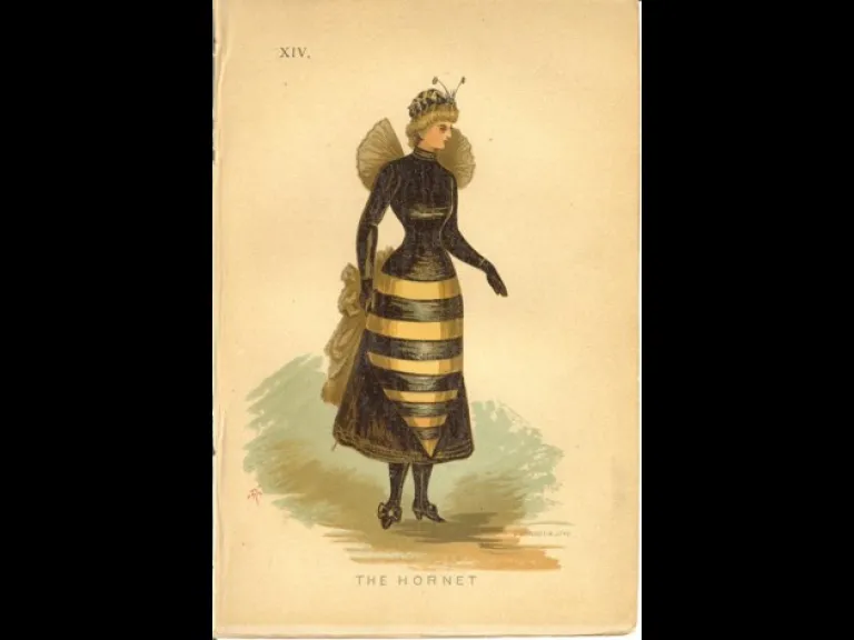 Entomological Appearances: 19th Century