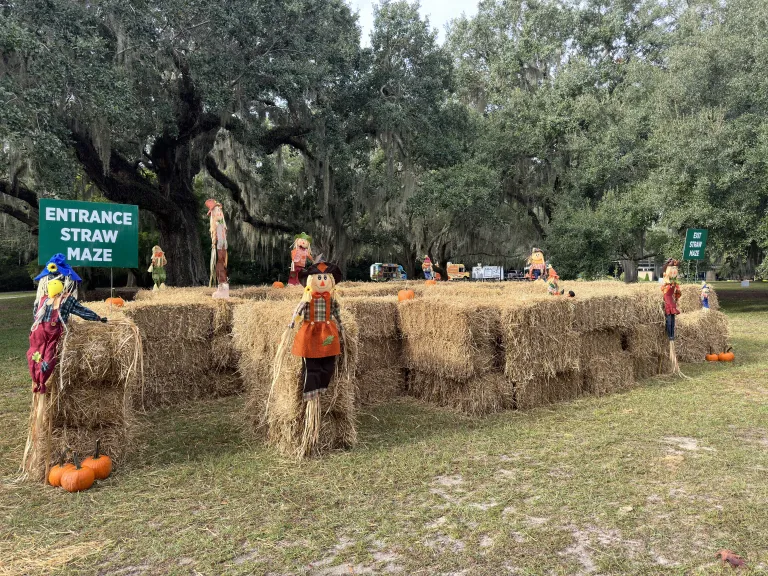 Hay Maze at Harvest Home Weekend