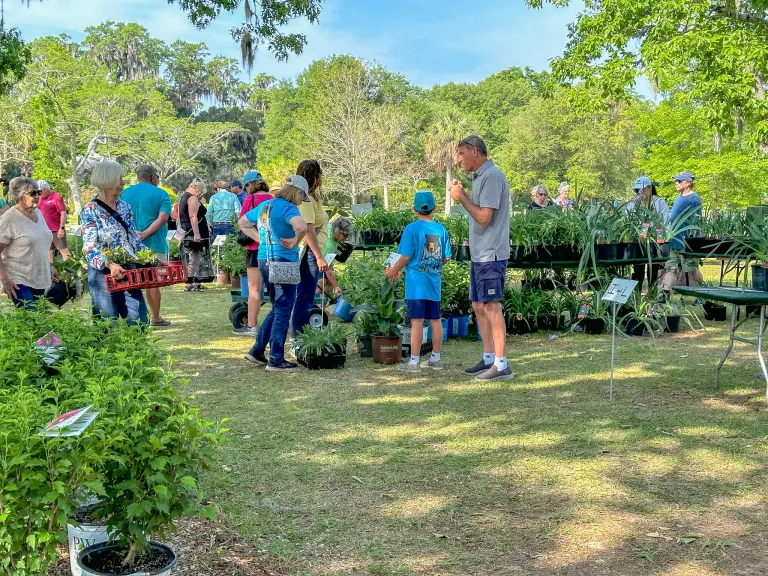 Spring Plant Sale