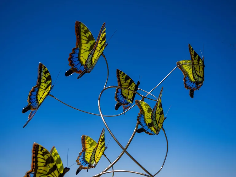 Glass butterflies