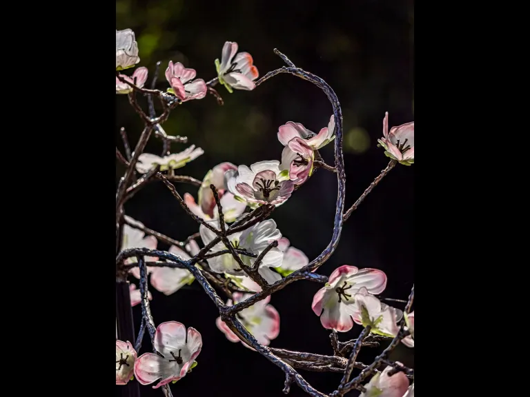 glass apple blossoms