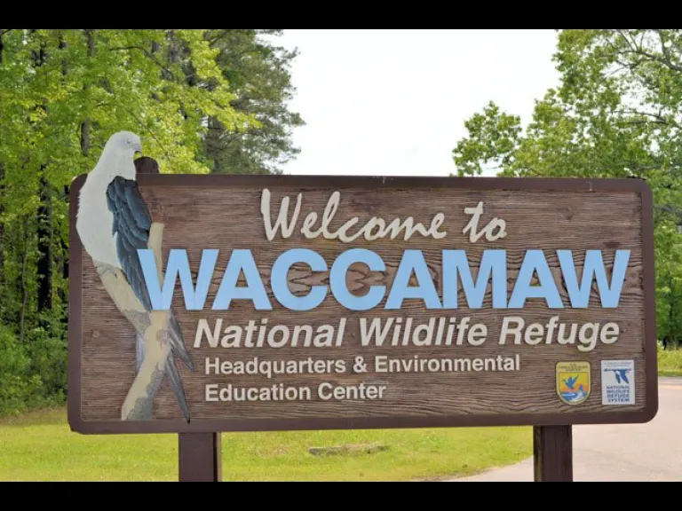 Waccamaw Wildlife Refuge