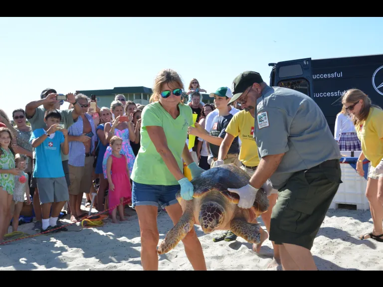 Mike Walker _ Sea Turtle Rescue