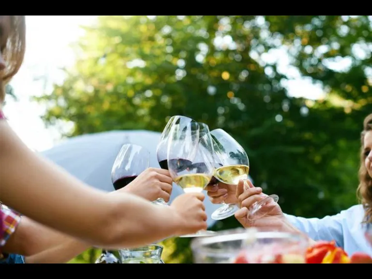 Spring Wine Festival in the Gardens Brookgreen