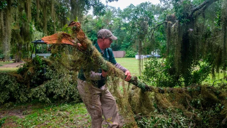 Staff Cleaning up large limbs